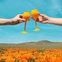6-delige Set Champagneflutes – Acryl Polycarbonaat, Ideaal voor Buiten